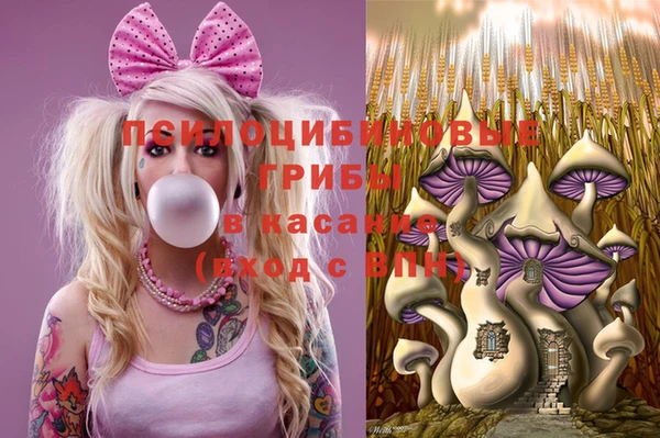 метадон Алексеевка