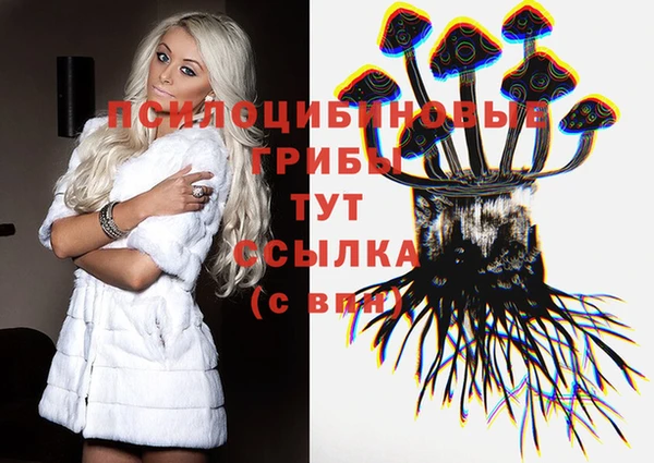 spice Алзамай