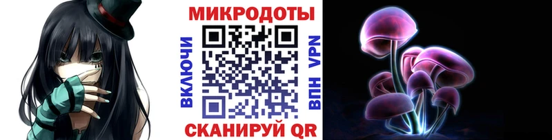 Псилоцибиновые грибы мицелий  Белозерск 